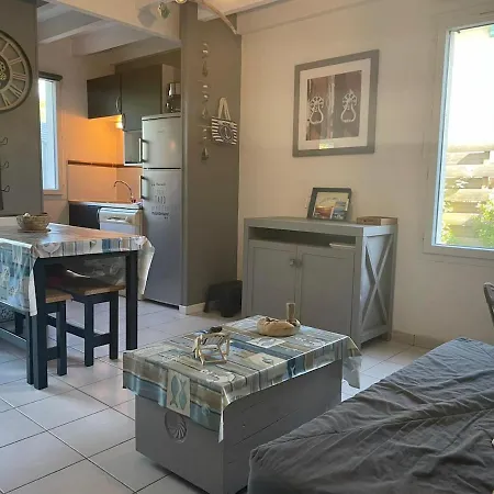 ღ Le Grand Large - Piscine, Parking & Terrasse Apartment *